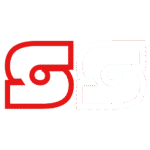 sangresporty.site favicon